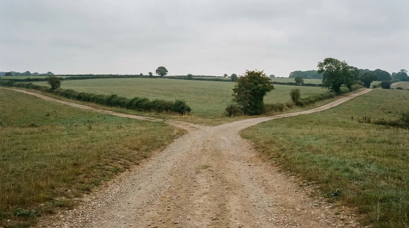 Ein Weg gabelt sich in zwei Richtungen auf